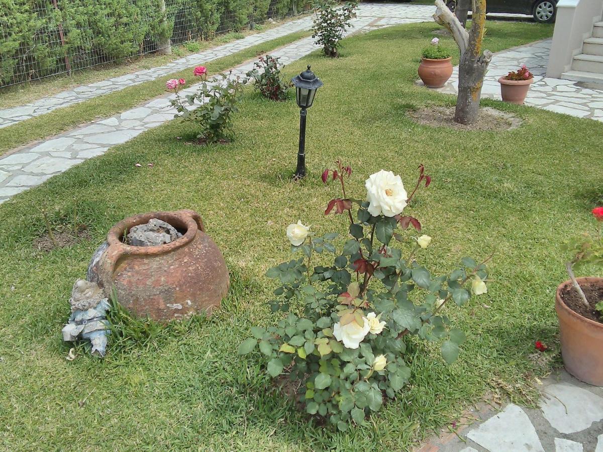 Casa Memories Apartment Lefkada City Ngoại thất bức ảnh